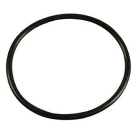 O-ring 04343359