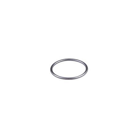 O-ring 4890088