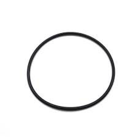 O-ring cilindru de directie L55475