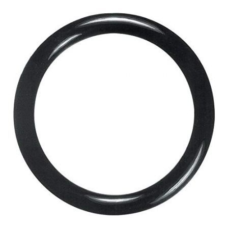 O-ring 13805275