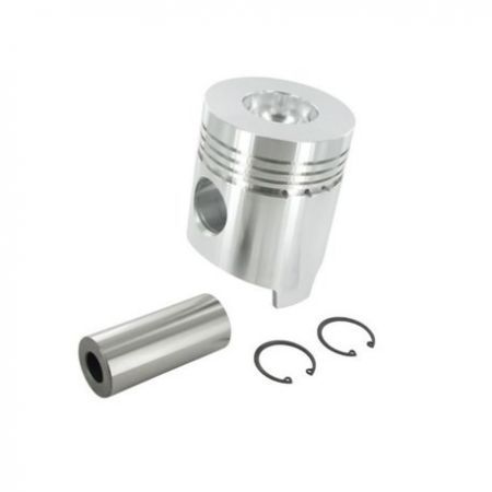 Piston motor STD Ø 106.50 mm AR87748