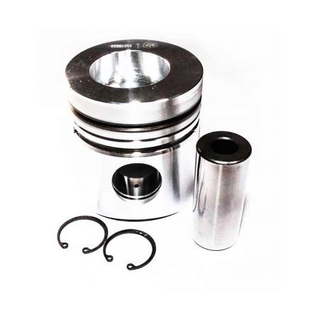 Piston motor STD Ø 98.42 mm 15010033