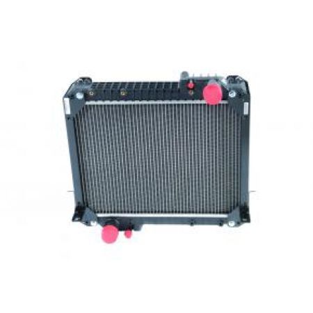 Radiator apa 3810864M2